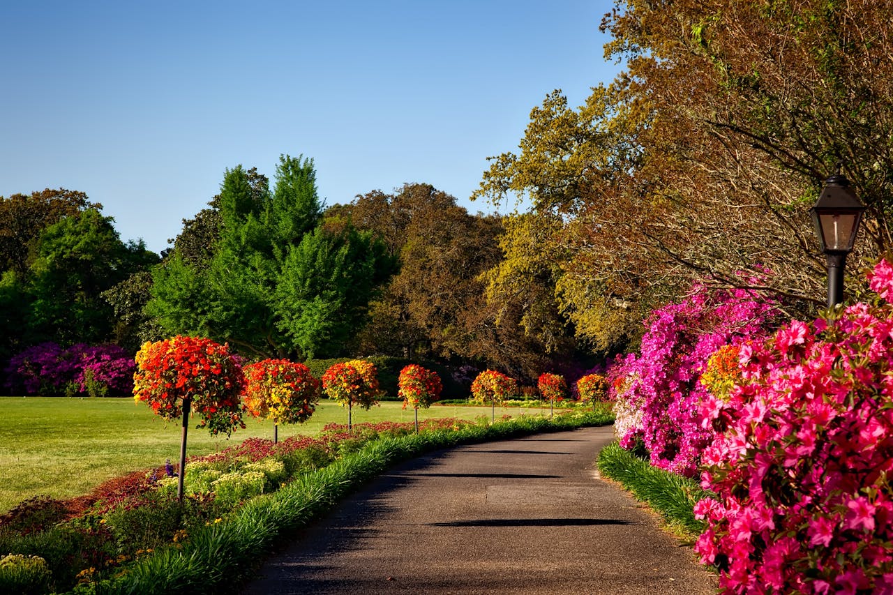 about-us A scenic outdoor garden with vibrant floral displays, perfect for backgrounds or wallpapers.